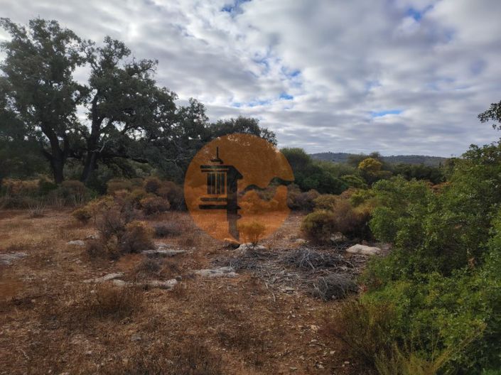 Image No.15-Plot for sale