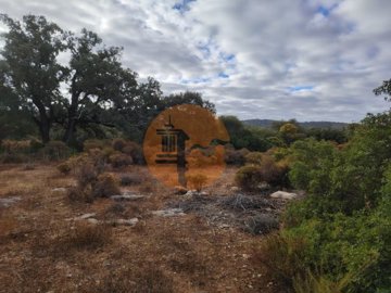 id4a72b301-0000-0500-0000-00001770d5d2