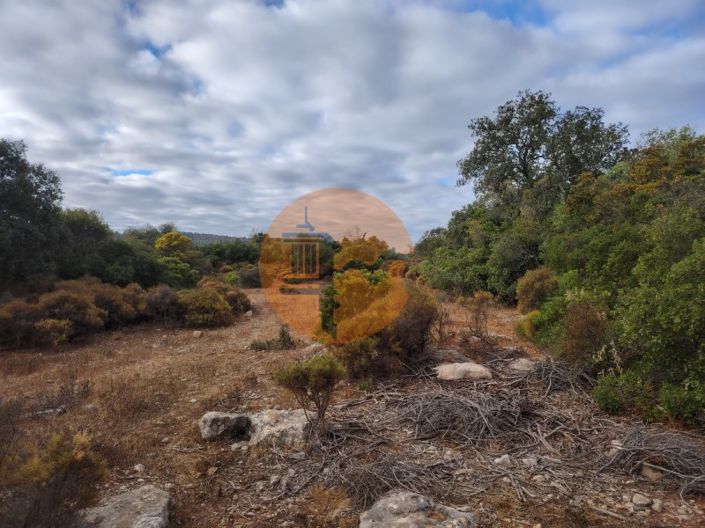 Image No.16-Plot for sale