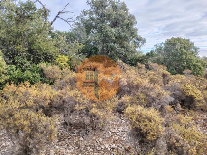 Image No.2-Plot for sale