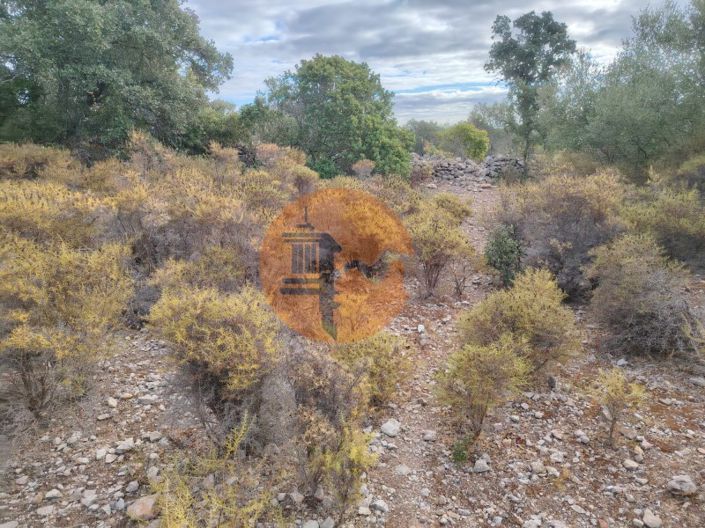 Image No.3-Plot for sale