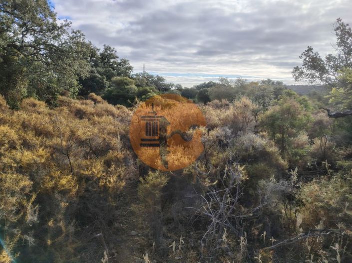 Image No.4-Plot for sale