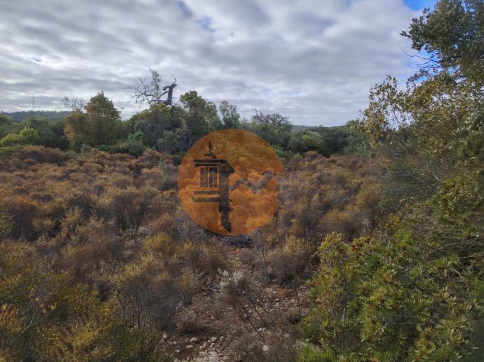 Image No.6-Plot for sale