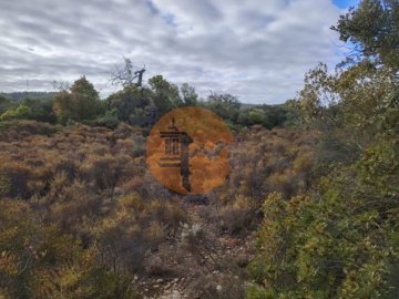 id4a72b301-0000-0500-0000-00001770d5c9