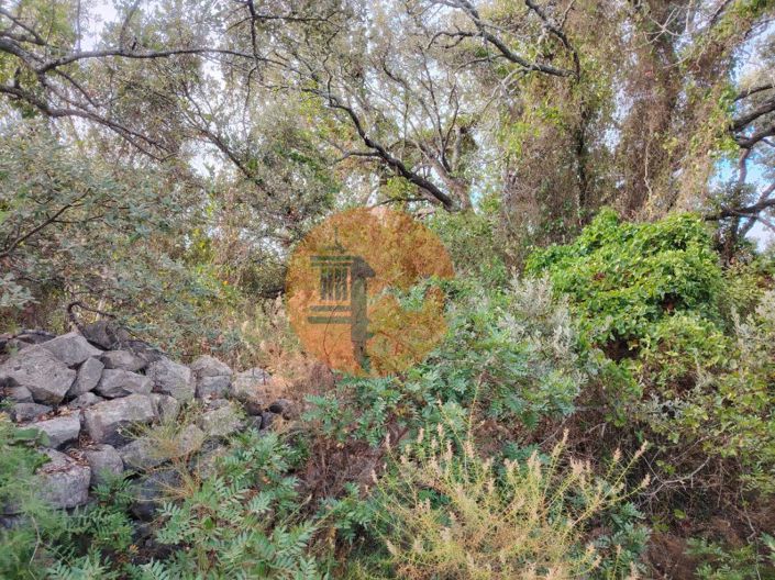 Image No.7-Plot for sale