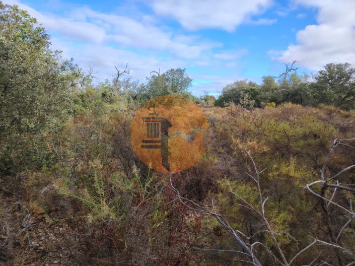 Image No.8-Plot for sale