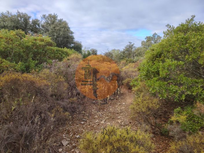 Image No.9-Plot for sale