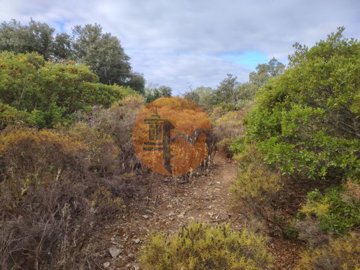 id4a72b301-0000-0500-0000-00001770d5cc