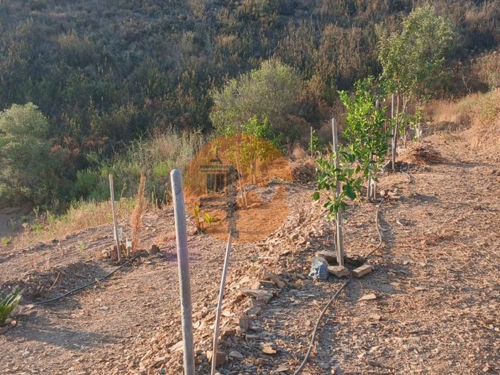 Image No.3-Plot for sale