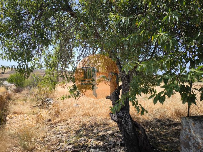 Image No.1-Plot for sale