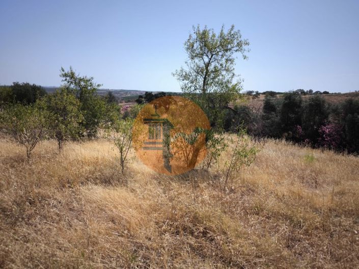 Image No.12-Plot for sale