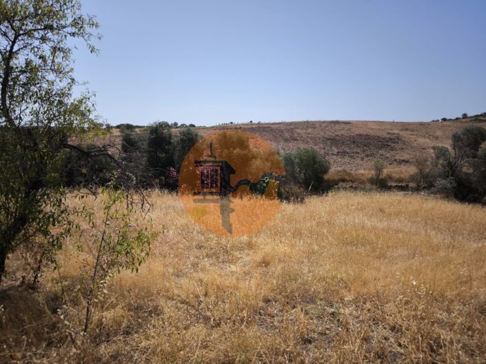 Image No.16-Plot for sale