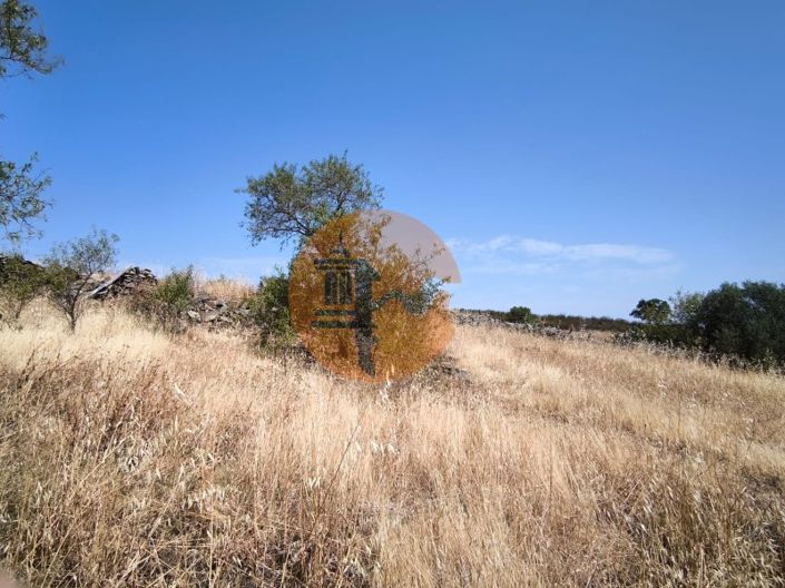 Image No.24-Plot for sale