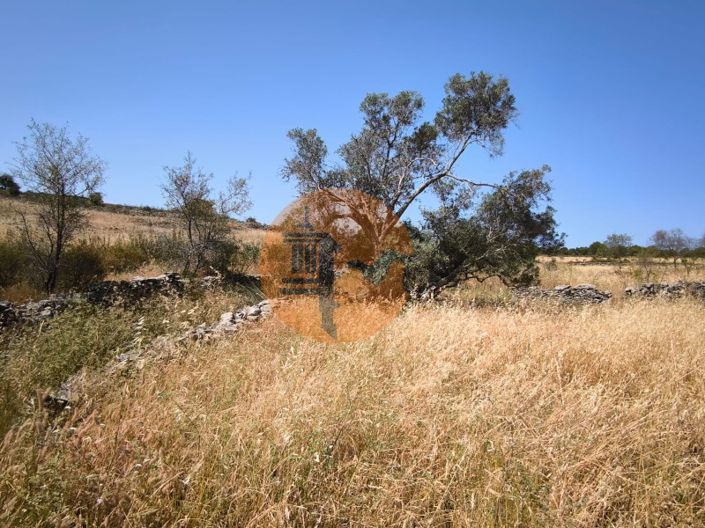 Image No.31-Plot for sale