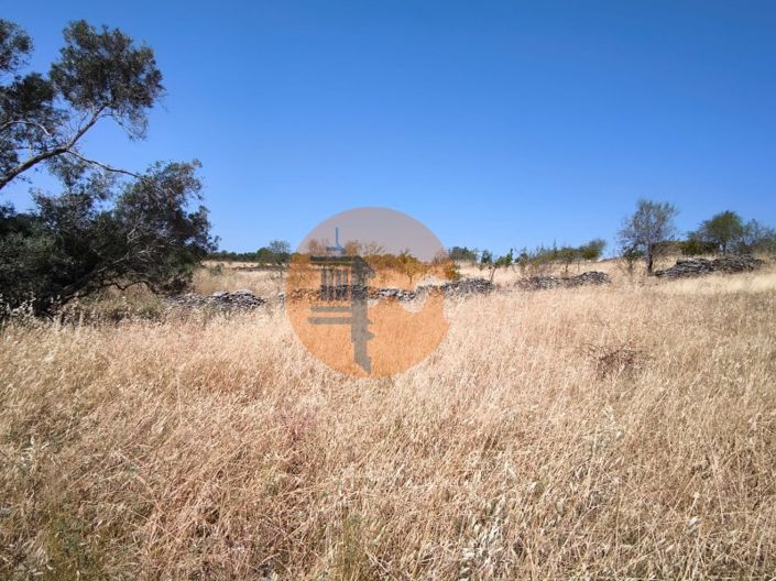 Image No.32-Plot for sale