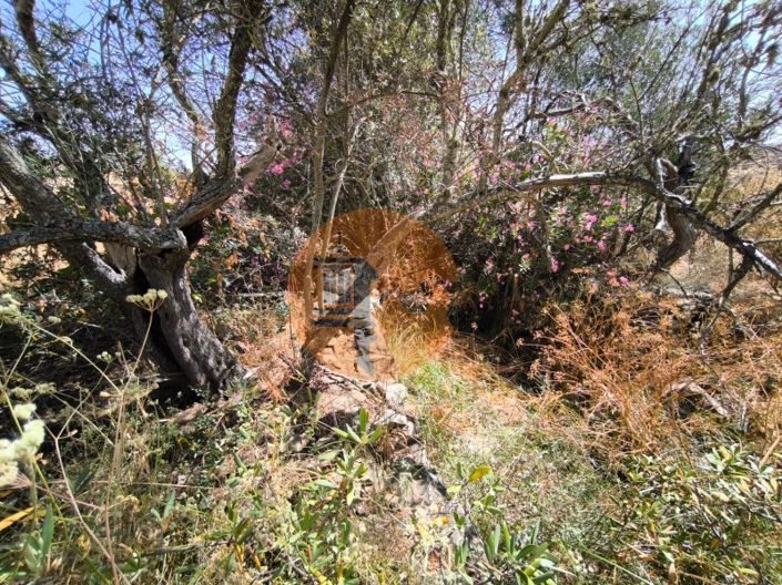 Image No.37-Plot for sale