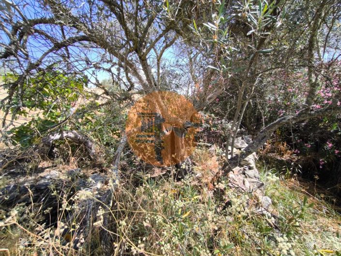 Image No.38-Plot for sale