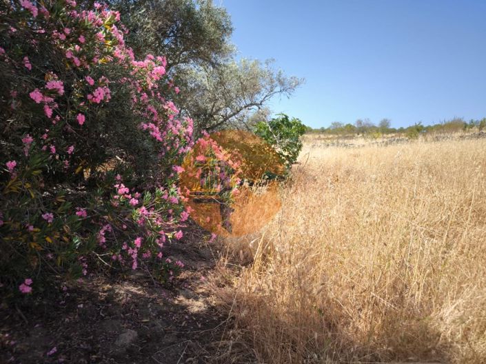 Image No.40-Plot for sale