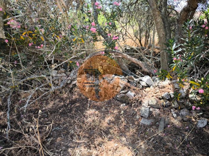 Image No.44-Plot for sale