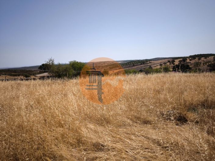 Image No.48-Plot for sale