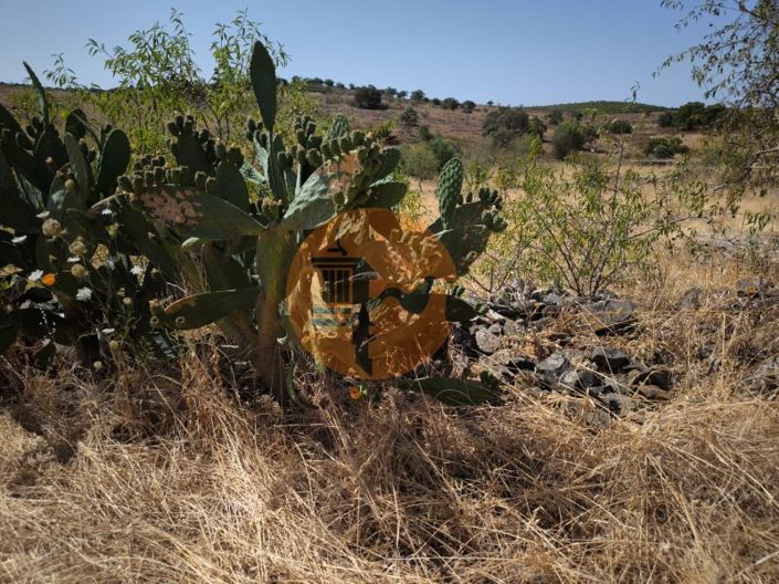 Image No.7-Plot for sale