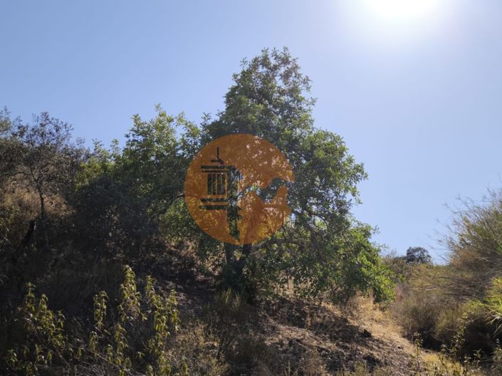 Image No.4-Plot for sale