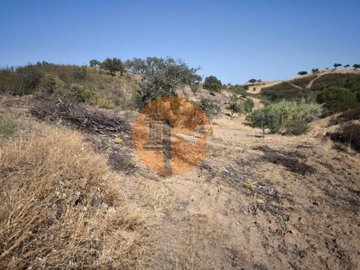 idf25c8001-0000-0500-0000-000017d10af9