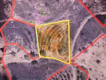 idf25c8001-0000-0500-0000-000017d124e1