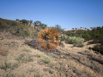 idf25c8001-0000-0500-0000-000017d10b02