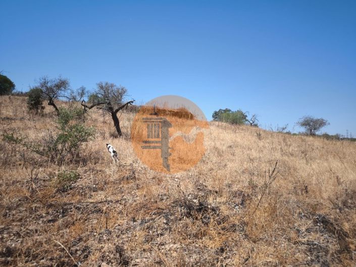 Image No.18-Plot for sale