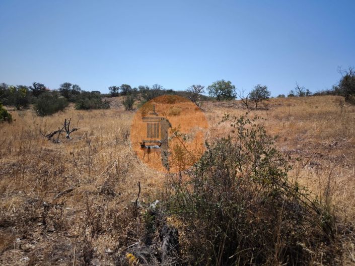 Image No.22-Plot for sale