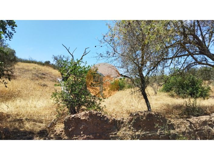 Image No.23-Plot for sale