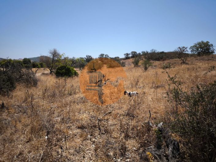 Image No.24-Plot for sale