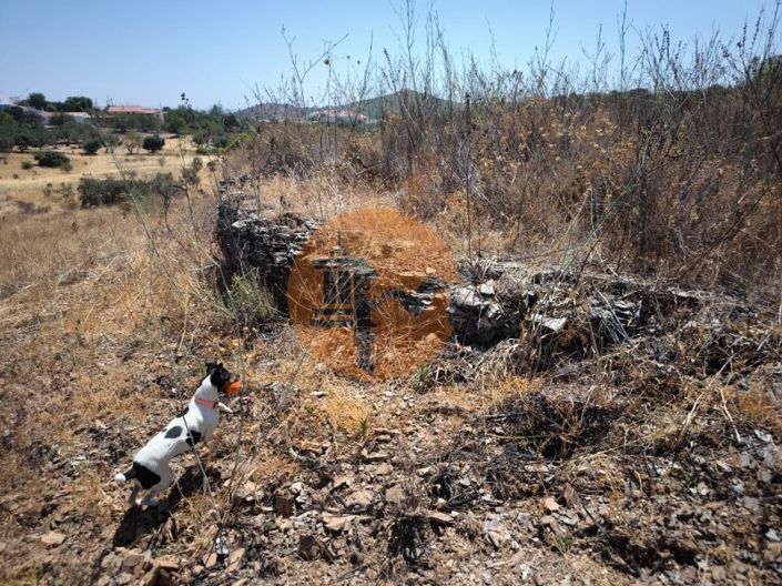 Image No.29-Plot for sale