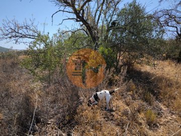 id33bda301-0000-0500-0000-000016f78c71