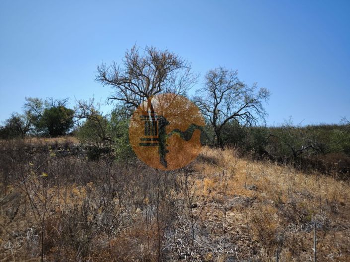 Image No.31-Plot for sale