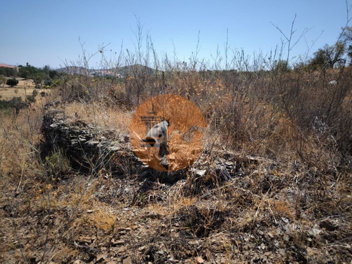 Image No.33-Plot for sale