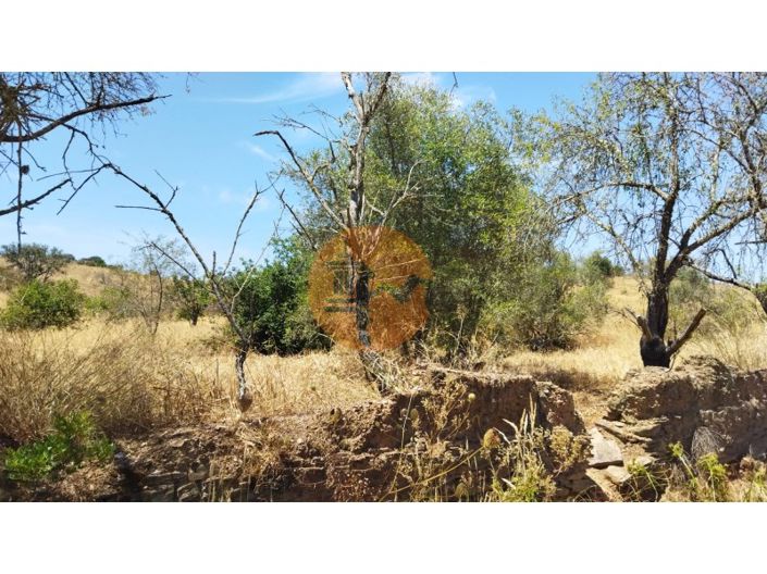 Image No.4-Plot for sale