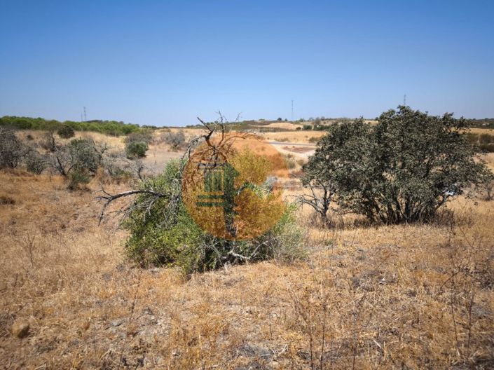 Image No.41-Plot for sale