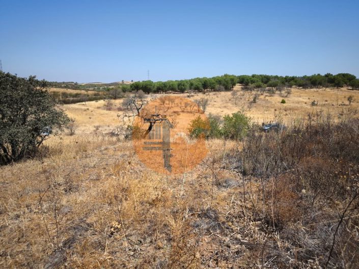 Image No.46-Plot for sale