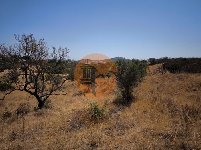 Image No.47-Plot for sale