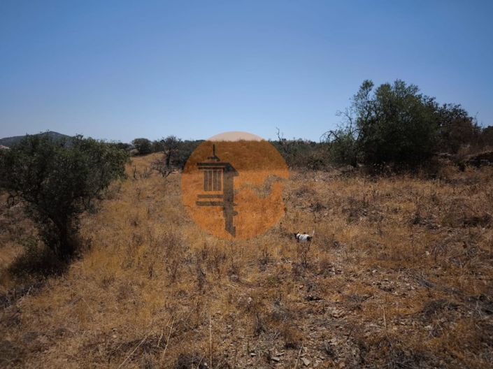 Image No.49-Plot for sale