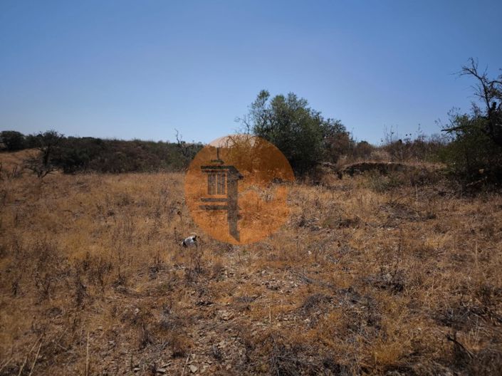 Image No.50-Plot for sale