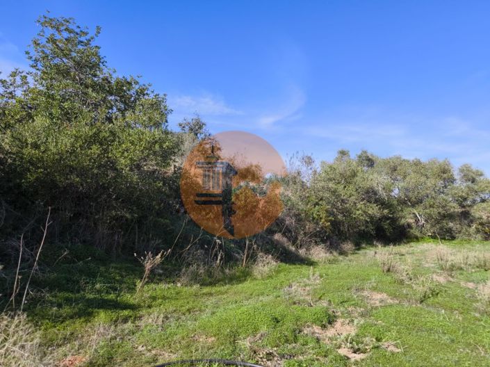 Image No.33-Plot for sale