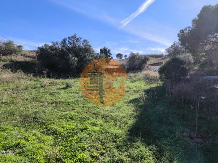 Image No.37-Plot for sale