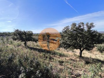 id438db701-0000-0500-0000-000017f5d9be