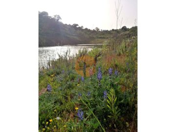 idea015601-0000-0500-0000-000012c73256