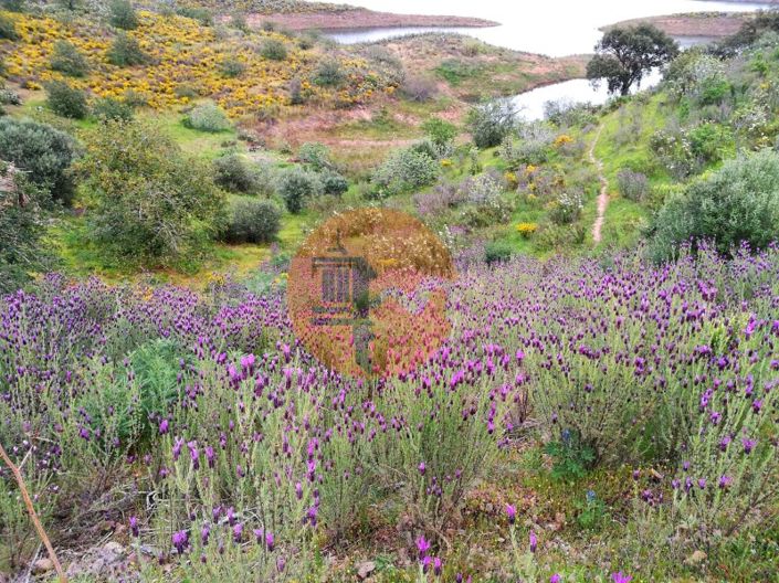 Image No.18-Plot for sale