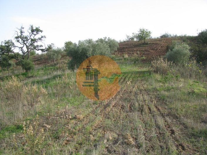 Image No.35-Terrain à vendre à Castro Marim