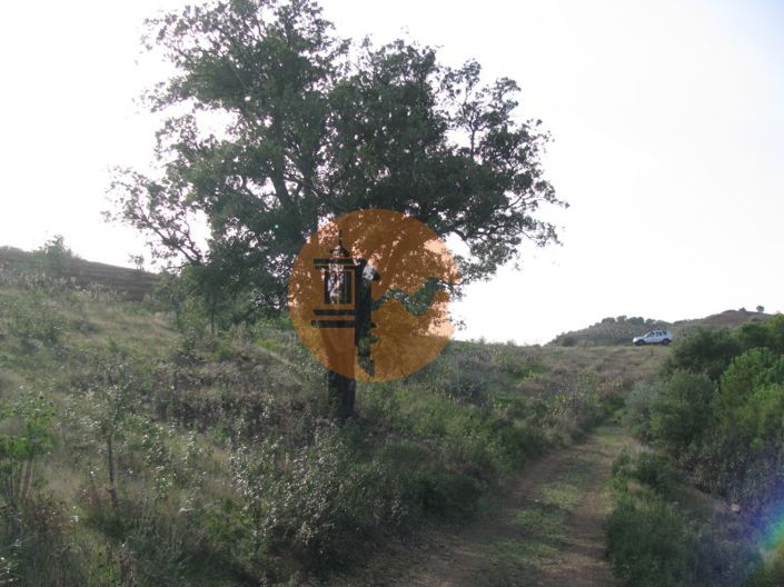 Image No.56-Plot for sale
